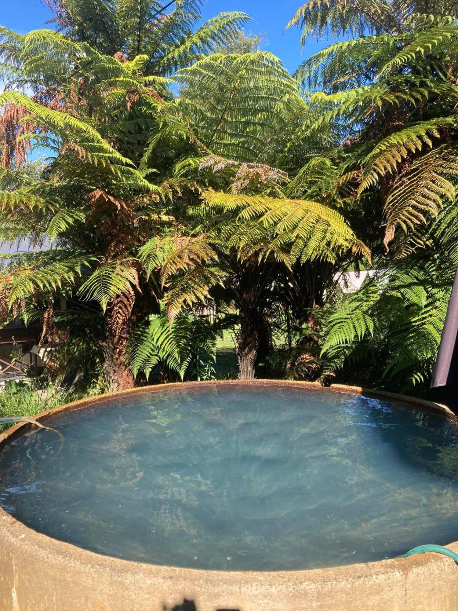 Whare&Geothermal Pool By Lake Taupo Turangi Εξωτερικό φωτογραφία